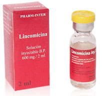 Lincomicina Injection